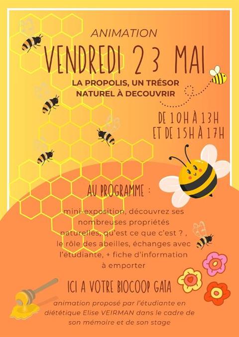 Animation Propolis